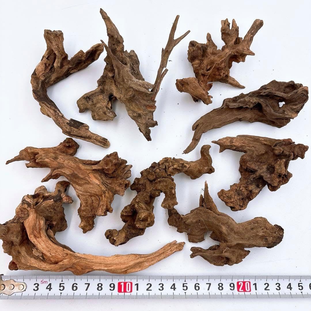 XM-295 ブランチウッド 流木 マシンガンウッド アクアリウム